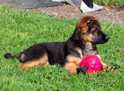 IMG-20240327-WA0000