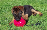 IMG-20240327-WA0004