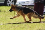 20100408181420