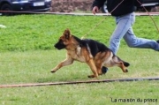 20100408181539