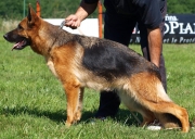p1012348