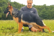 Jasper-7mois-a