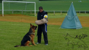 vlcsnap-2016-05-31-09h19m51s075