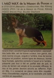 Mad Max championnat France berger allemand 2016