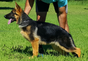 madame-5-months