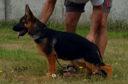 vlcsnap-2016-08-18-11h12m47s135