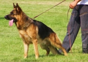20090914205418