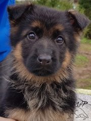 OSKA-TETE-2mois