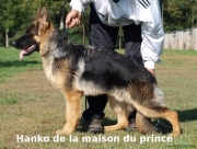 Position Hanko
