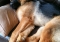 20150915_150545_resized