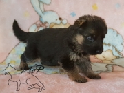 20180204_104600