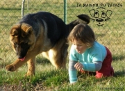Echo et Angie
