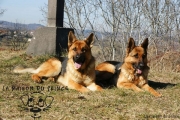 SONY DSC
