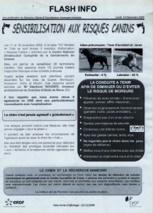Extrait revu ERDF sensibilisation risques canins