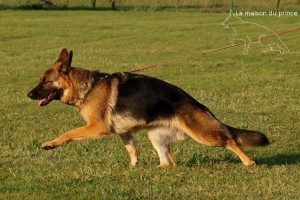 Ethna de la maison du prince en mouvement à 3 ans