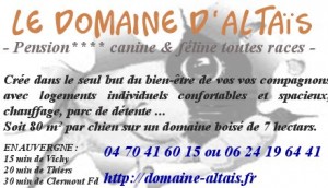 Pension canine et féline, éducation et dressage toutes races de chien en Auvergne