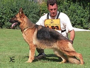 Minnie de parilly VA1 (F)