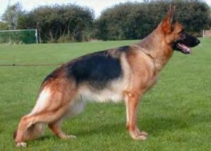 Fara vom team fiemereck