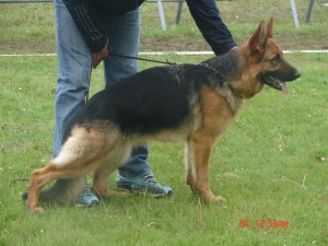 Avrile du domaine du parc