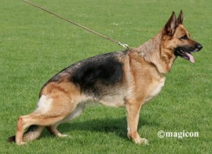 Riska vom Holtkämper See V