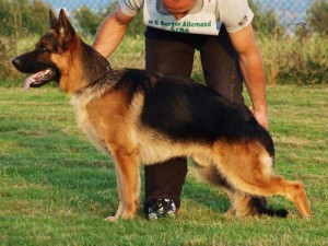 ECHO de la maison du prince