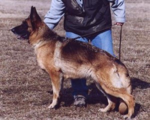 Toska zum Gigelsfelsen VA2 (SCH)