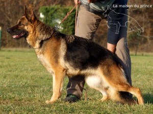 ETHNA de la maison du prince