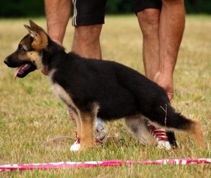 HAPPY de la maison du prince