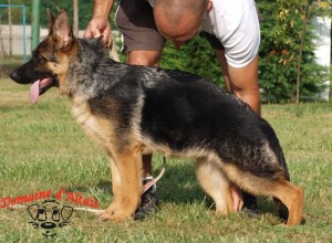 HERA de la maison du prince