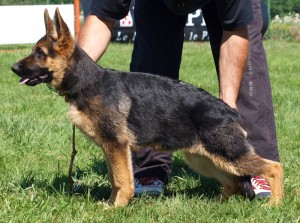 GIRL de la maison du prince