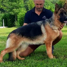 Reza de la maison du prince