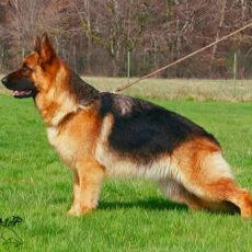 Ramdam du val d'anzin 18 mois