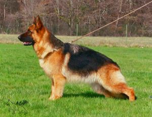 Ramdam du val d'anzin 18 mois