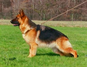 Ramdam du val d'anzin 18 mois