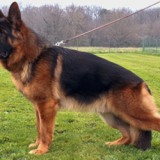 TACKO du val d’anzin TACKO du val d’anzin