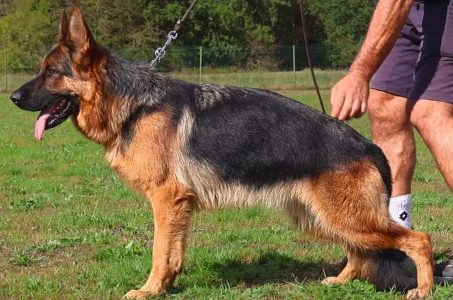 UK de la maison du prince UK de la maison du prince