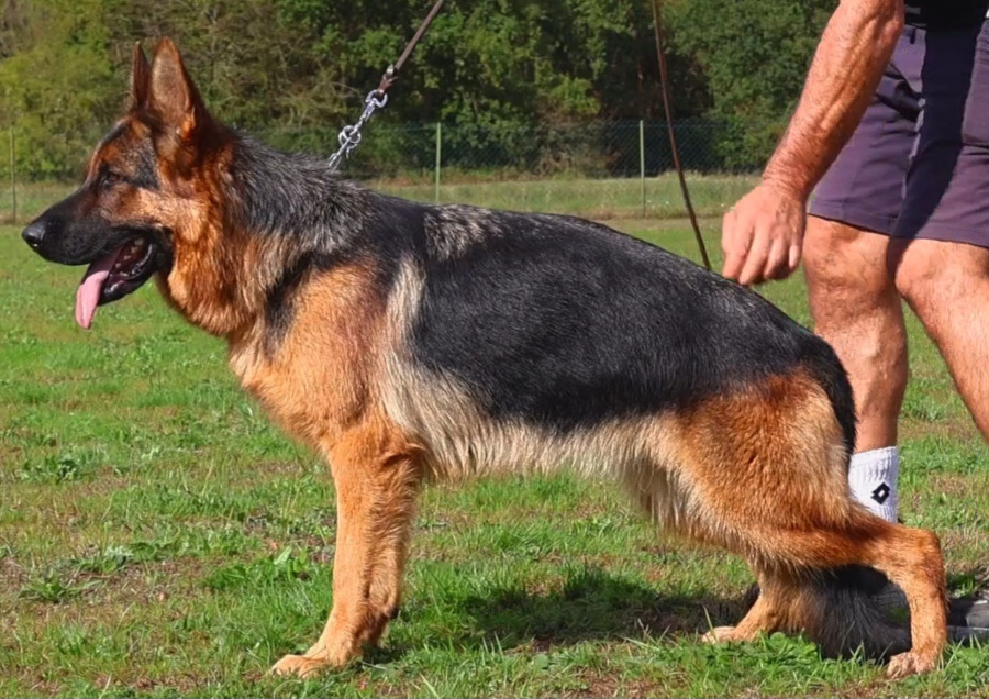 UK de la maison du prince