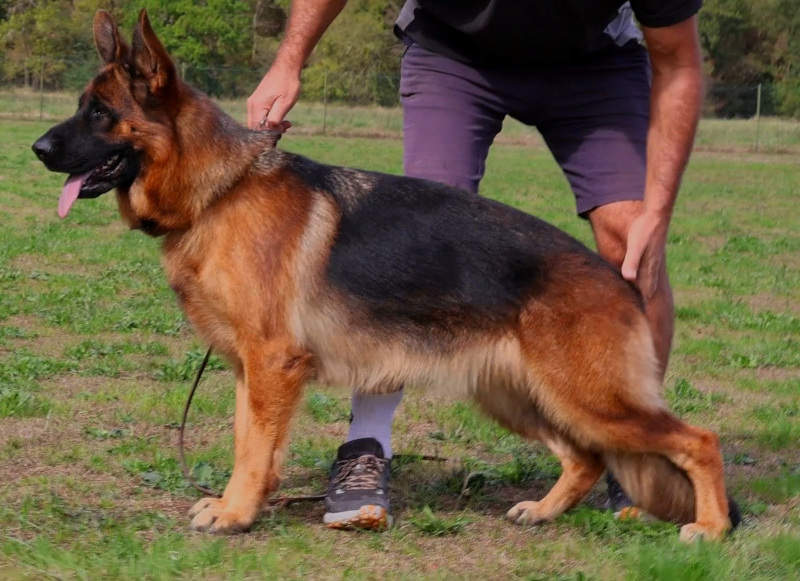 VISTA du pavillon chinois