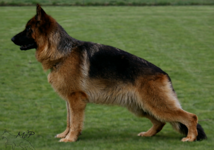 VITA de la maison du prince