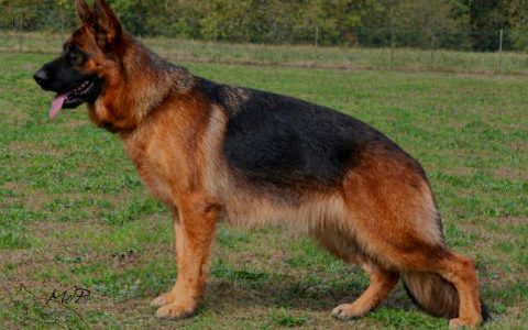 Vista du pavillon chinois